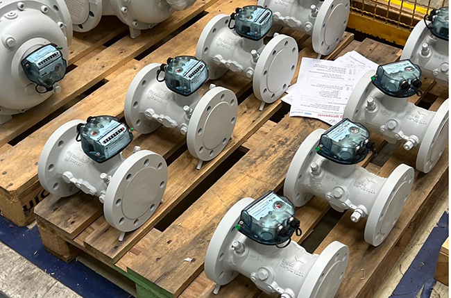 Brands Actaris Gas Measurement